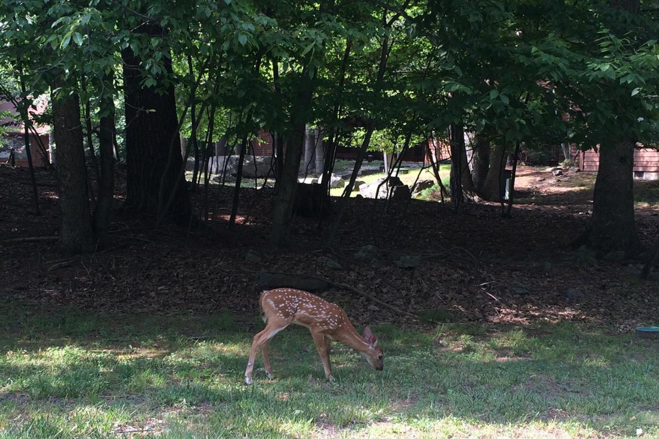 Affittacamere Private House Bushkill Esterno foto